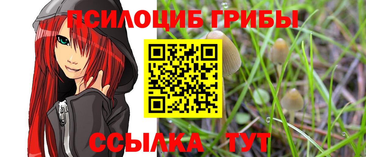 Галлюциногенные грибы Cubensis  Вход с VPN  Дивногорск 